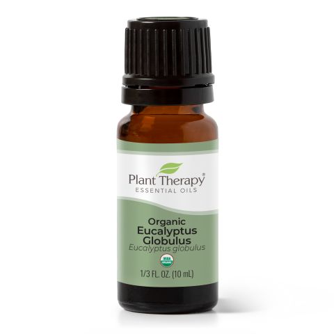 Organic Eucalyptus Globulus Oil