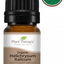 Organic Helichrysum Italicum