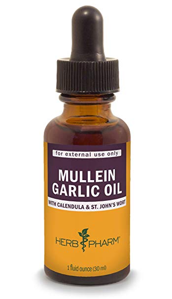 Mullein Garlic