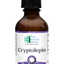 Cryptolepis